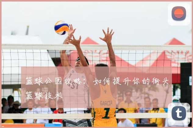 篮球公园攻略：如何提升你的街头篮球技术